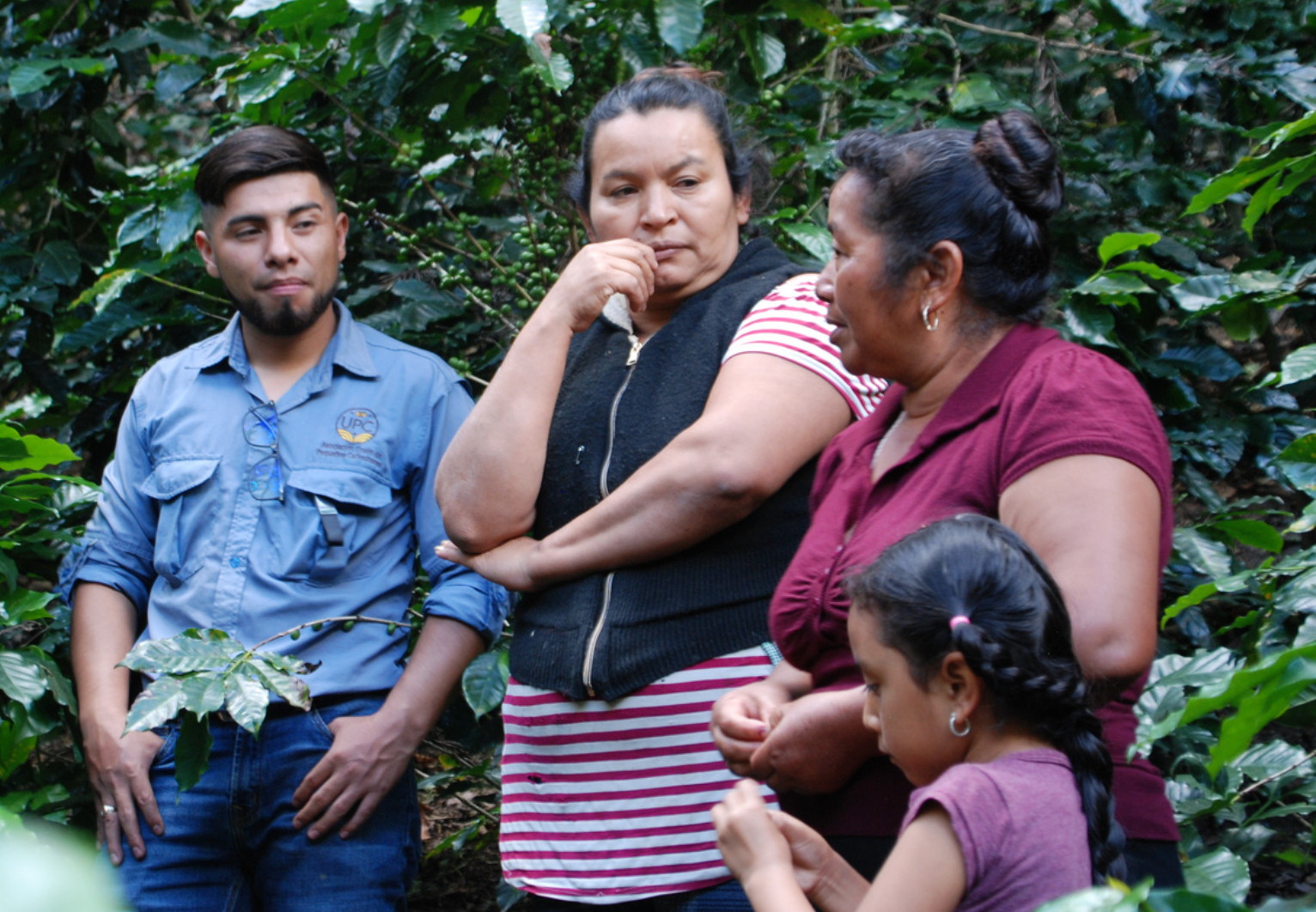 Whole Bean Coffee - La Union - Huehuetengango, Guatemala - 12 oz