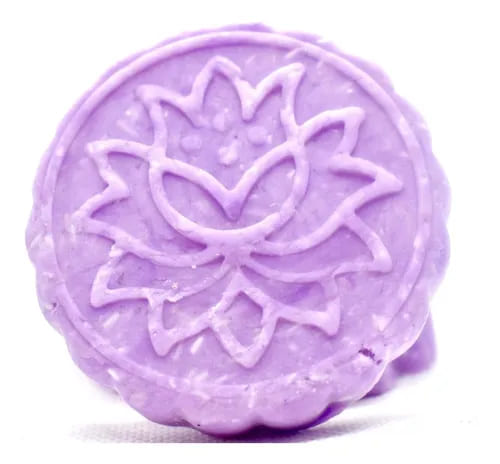 Shampoo de oregano Soregano