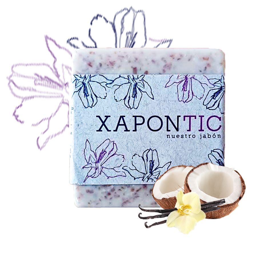 Xapontic